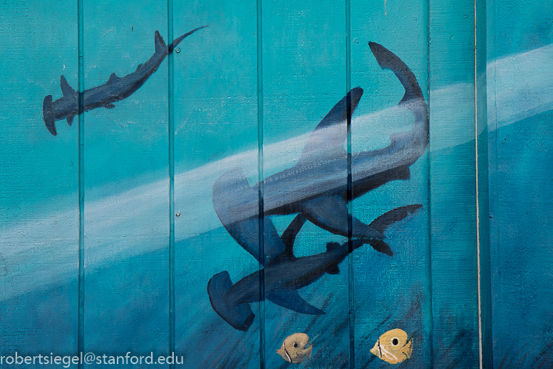 ponderosa elementary